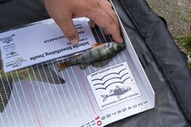 JWNES (1042 van 50).jpg