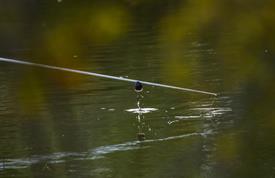 NK Vijvervissen 2022 (100).JPG