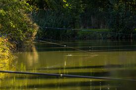 NK Vijvervissen 2022 (121).JPG