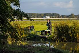 NK Vijvervissen 2022 (2).JPG