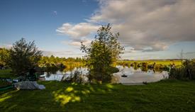 NK Vijvervissen 2022 (33).JPG