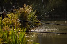 NK Vijvervissen 2022 (46).JPG