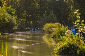 NK Vijvervissen 2022 (55).JPG