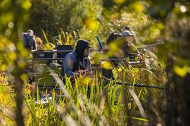 NK Vijvervissen 2022 (73).JPG