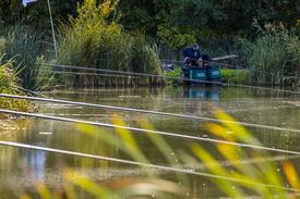 NK Vijvervissen 2022 (76).JPG