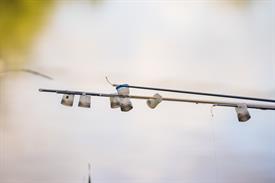 NK Vijvervissen 2022 (88).JPG