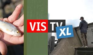 Project Nachtuil in VIS TV XL