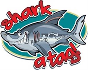 Sharkatag - ga je mee naar de haaien?