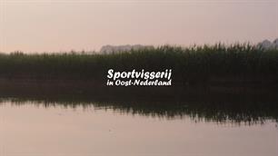 Sportvisserij in Oost Nederland (Video)
