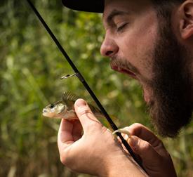 Teun Jansen - Klein versus groot - baars gevangen op dropshot (Large)