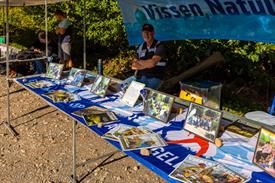 Vistival 2025 (14) (Aangepast).jpg