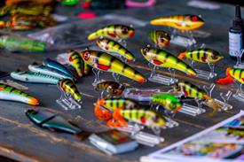 Vistival 2025 (244) (Aangepast).jpg