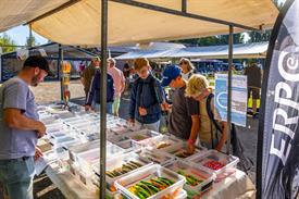 Vistival 2025 (25) (Aangepast).jpg