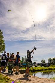 Vistival 2025 (281) (Aangepast).jpg