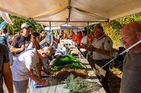 Vistival 2025 (30) (Aangepast).jpg