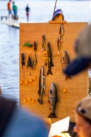 Vistival 2025 (55) (Aangepast).jpg