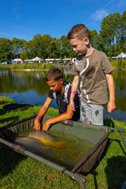 Vistival 2025 (95) (Aangepast).jpg