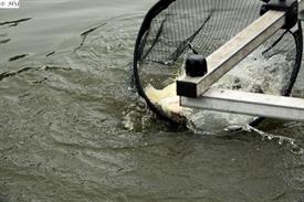 Vrijwilligersdag SVON15-9-2021 (25).JPG ed.jpg