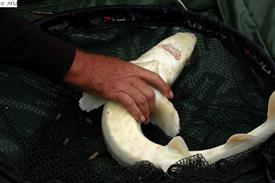 Vrijwilligersdag SVON15-9-2021 (26).JPG ed.jpg