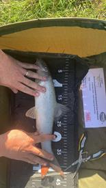 WhatsApp Image 2022-10-11 at 20.46.37 (1).jpeg