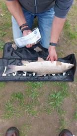 WhatsApp Image 2022-10-11 at 20.46.37 (3).jpeg