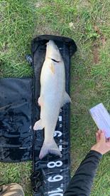 WhatsApp Image 2022-10-11 at 20.46.37 (4).jpeg