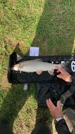 WhatsApp Image 2022-10-11 at 20.46.37 (6).jpeg