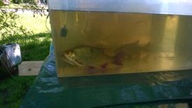 WP_20140531_004 (Large)