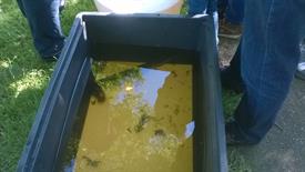 WP_20140531_005 (Large)