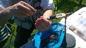 WP_20140531_019 (Large)