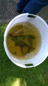 WP_20140531_033 (Large)