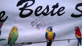 WP_20140531_052 (Large)