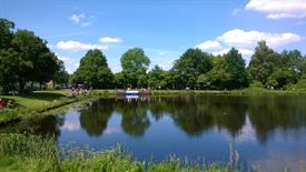 WP_20140531_063 (Large)